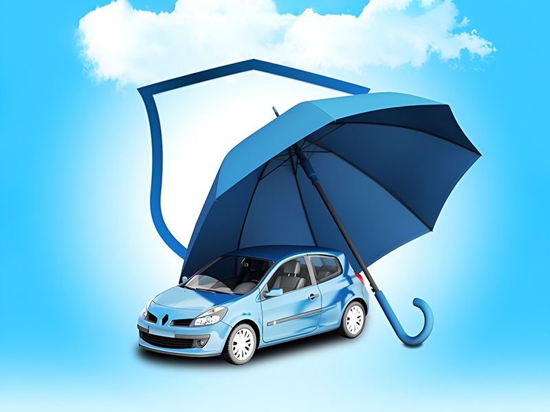 WhatsApp Image 2025-05-19 at 6.17.45 PM (3)